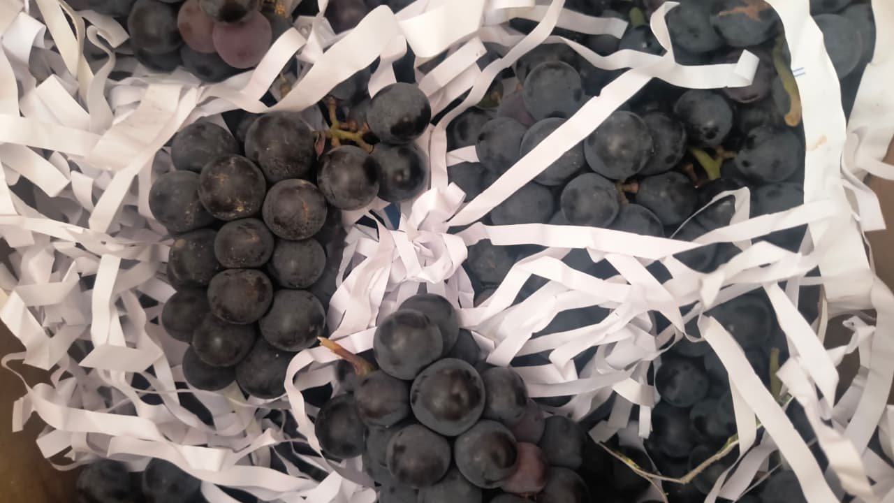 Black Grapes